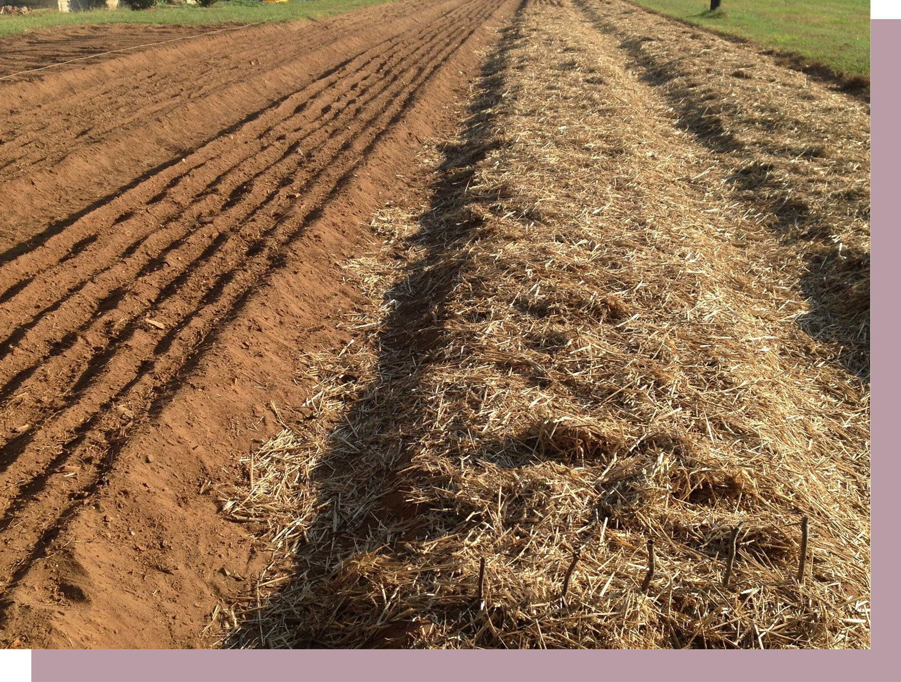 about zick farm - picture of the farm